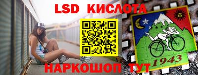 ешки Кингисепп