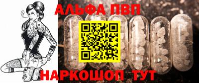 ешки Кингисепп