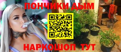 ешки Кингисепп