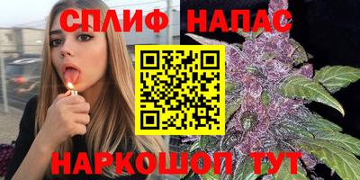 спиды Кимры